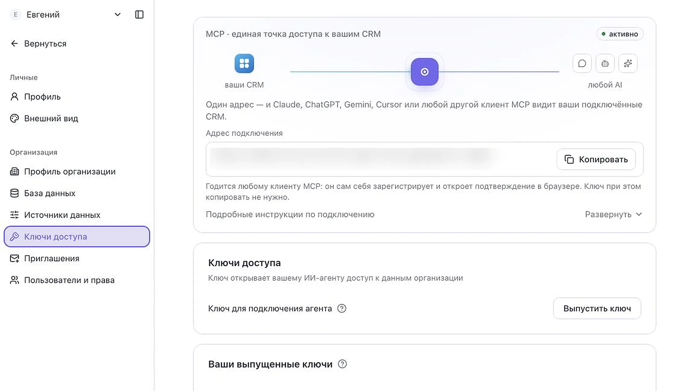 Ключи доступа и MCP-адрес организации; адрес скрыт